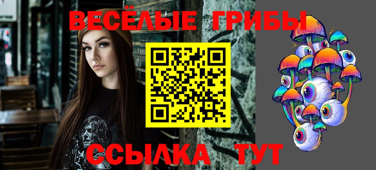 Галлюциногенные грибы прущие грибы Кизляр