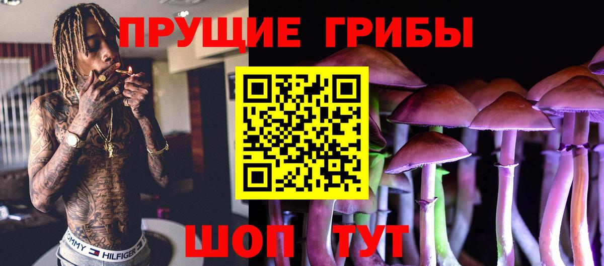 Кизляр  Псилоцибиновые грибы мицелий  Псилоцибиновые грибы MAGIC MUSHROOMS  Вход с VPN 