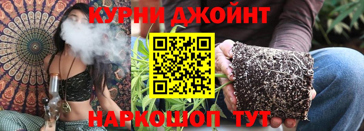 Бошки Шишки планчик  Каннабис планчик  Вход с VPN  Канабис индика  Канабис LSD WEED  Кизляр 